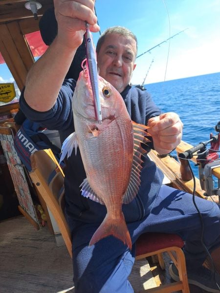 BlueBlue Conifer 160g 02 Jig Yem