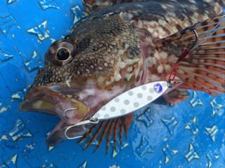 BlueBlue Searide Mini 12g 08 Pink Glow Jig Yem