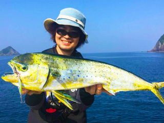 BlueBlue Searide Mini 9g 07 Lrf Jig Yem
