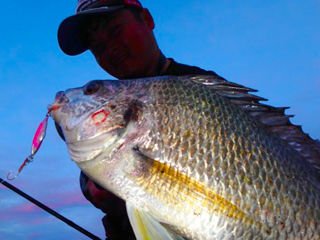 BlueBlue Searide Mini 9g 07 Lrf Jig Yem