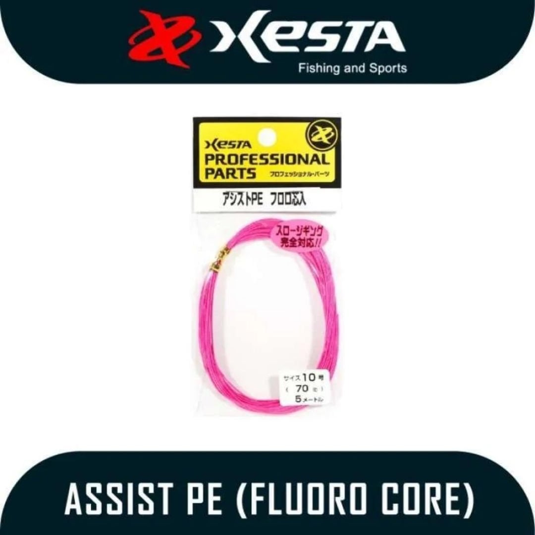 Xesta Assist İpi Pe 5m 70Lbs 32kg Pembe