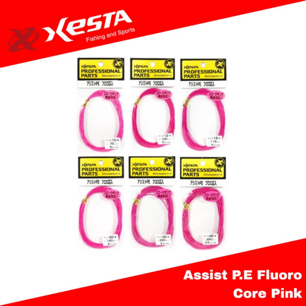 Xesta Assist İpi Fluorocarbon Çekirdekli 4m 280lb 127kg Pembe
