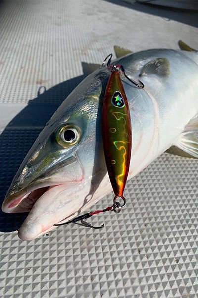 Xesta Flap Qr 120g FOSBL Slow Jig