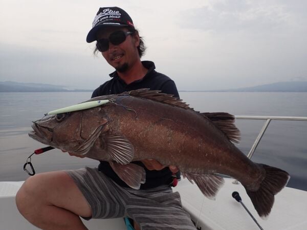 BlueBlue Conifer 310g 16 Jig Yem