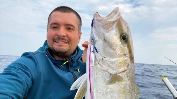 BlueBlue Conifer 370g 14 Jig Yem