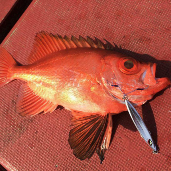 Vanfook Jigen Long Twin Asist Kancası 3/0