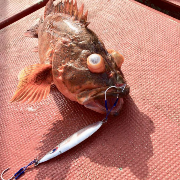 Vanfook Jigen Short Twin Asist Kancası 3/0