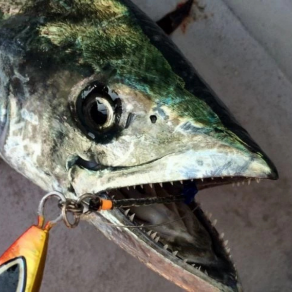 Vanfook Jigen Hyper Long Wire Asist Kancası 6/0