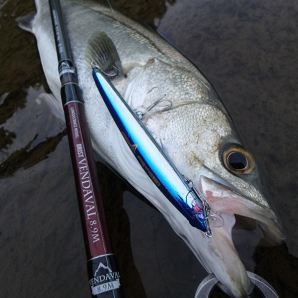 BlueBlue Blooowin 125 Slim Floating 14g 02 Maket Yem