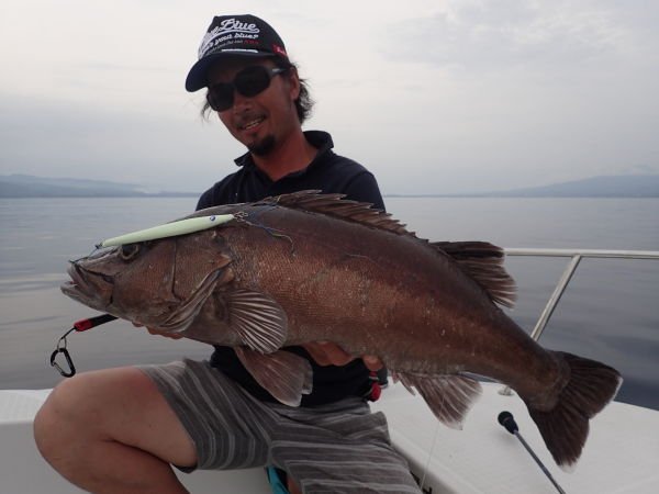 BlueBlue Conifer 250g 10 Jig Yem