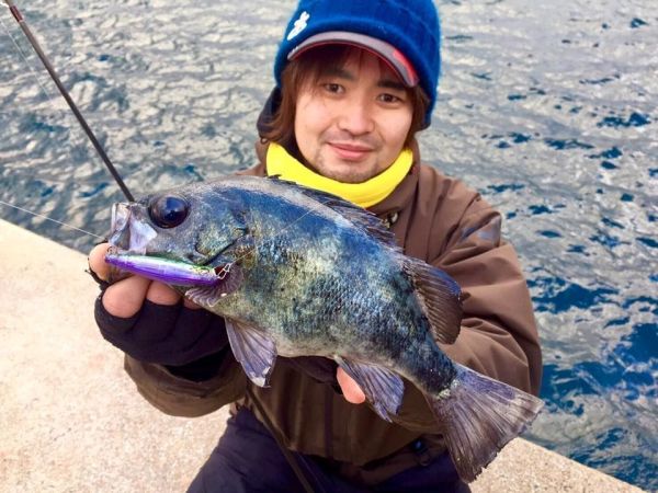 BlueBlue Gaboz 65 6g 26 Lrf Yem
