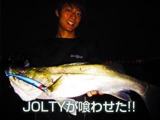 BlueBlue Jolty 23g 24 Silikon Yem