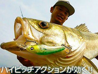 BlueBlue Kumihon 70 Sinking 9g 08 Maket Yem