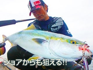 BlueBlue Searide Long 125g 04 Hızlı Jig
