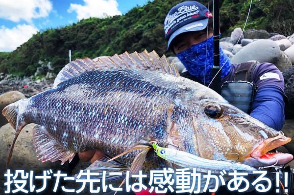 BlueBlue Scarnash 140 Floating 25g 09 Maket Yem