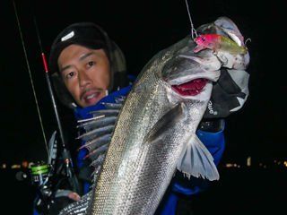 BlueBlue Zepper 80 Sinking 10g 07 Maket Yem