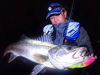 BlueBlue Zepper 80 Sinking 10g 11 Maket Yem
