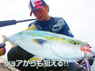 BlueBlue Searide Long 60g 02 Jig Yem