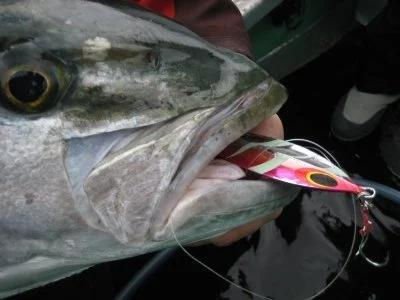 Sea Falcon Super Drain Jig 170g 05 Lightning Glowing Silver