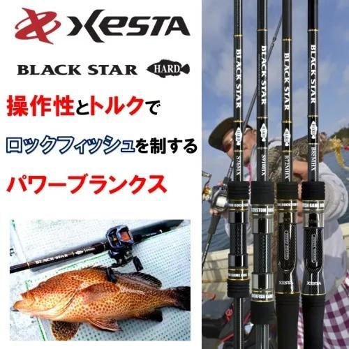 ゼスタ ブラックスター S90HX Xesta Black Star Hard S90HX 2.74M 10-50G Spin Kamış