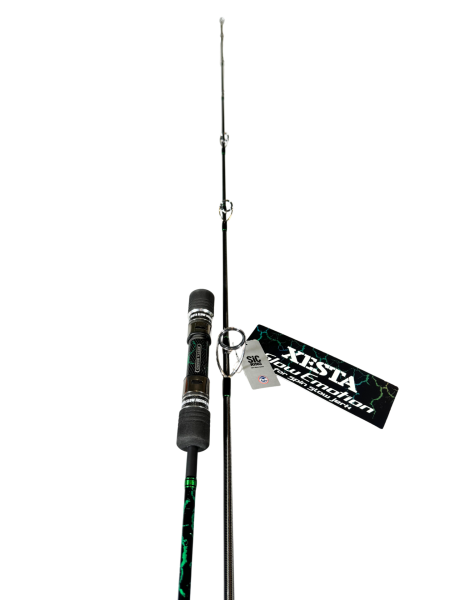 Xesta Slow Emotion For Spin Slow Jerk S654 1.95m 180-400