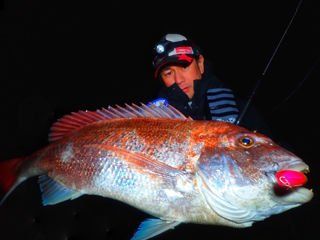 BlueBlue Snecon 150s 51g 08