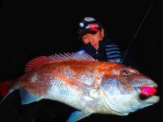 BlueBlue Snecon 150s 51g 49